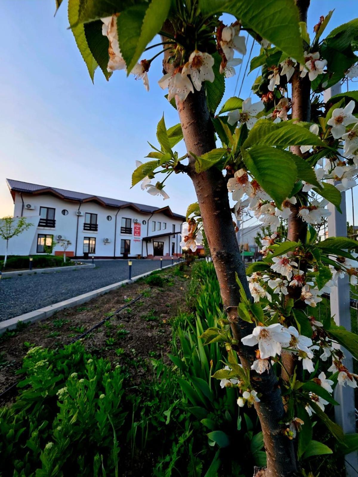 Agropensiunea Livada Lui Cezar Si Rares Farm stay *